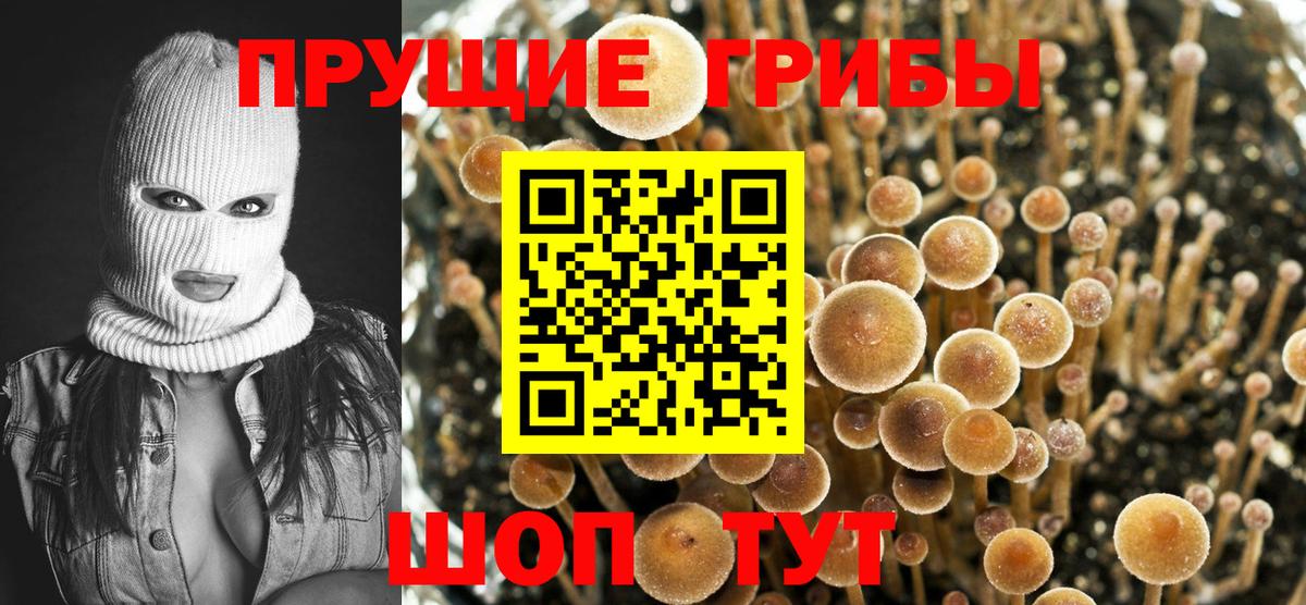 Анжеро-Судженск  Псилоцибиновые грибы ЛСД  Вход с VPN 